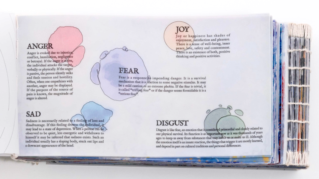 Colour explanation page. WHEN